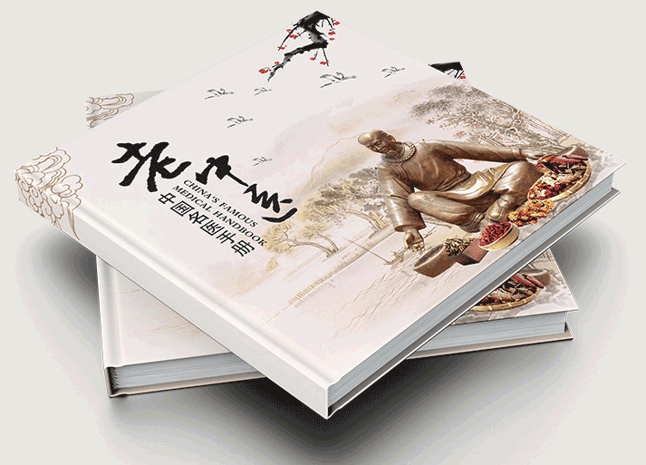 2020年精裝書(shū)冊(cè)宣傳書(shū)籍印刷  第2張