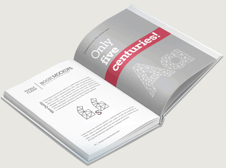 2020年精裝書(shū)冊(cè)宣傳書(shū)籍印刷  第1張