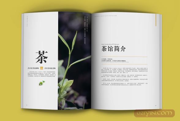 公司畫冊設計需要注意些什么？  第2張