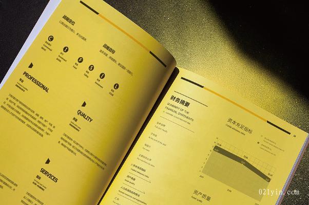 上海印刷公司從哪些角度做好公司畫冊設(shè)計欣賞  第1張