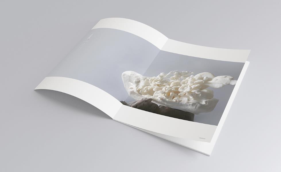 彩頁印刷常規(guī)尺寸有哪些？